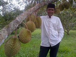 Mirip Jokowi, Nurdin Tak Perlu Kampanye untuk Terpilih Lagi Jadi Bupati