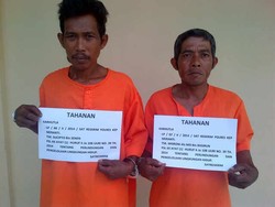 Berdalih Bikin Pupuk Alami, Petani Ini Malah Bakar Lahan 100 Hektare