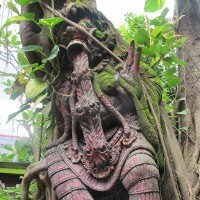 Taman Sesaji di Bawah Pohon Beringin Ki Joko Bodo, Pusatnya Makhluk Gaib