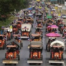 Marah Tak Dibayar, Ribuan Petani di Thailand Demo Sambil Naik Traktor