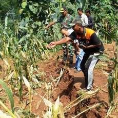 Retakan Tanah Rawan Longsor di Situbondo Meluas