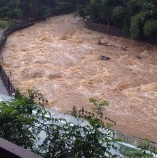 Ciliwung Deras Menggelora di Puncak, Warga Jakarta Waspadalah