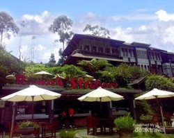 Asyik! Petik Stroberi Sepuasnya di Lembang