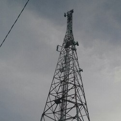 Menara BTS di Taman Nasional Kutai Terancam Ditebang