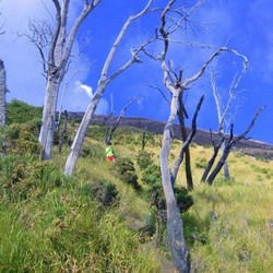 Akhir Pekan Seru Mendaki Gunung Slamet