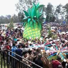 Ribuan Warga Prigen Rebutan Gunungan Pawai Hasil Bumi