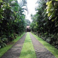 Mesin Waktu Itu Bernama Museum di Tengah Kebun