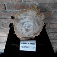 Museum di Tengah Kebun Ingin Jadi Nomor Satu di Dunia, Tak Hanya di Indonesia