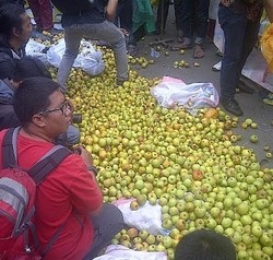 Petani Buang Apel dan Jeruk Malang di Depan Kantor Mendag Lutfi