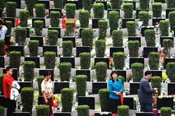 Wafat Cara Orang Kaya China, Ini Kemewahannya