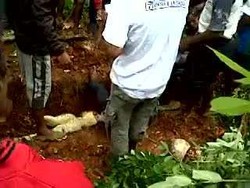 Cegah Balas Dendam, Buaya Pemakan Bocah di NTT Dikubur Warga
