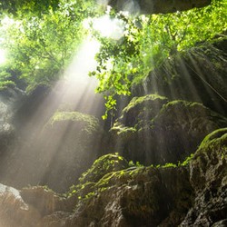 5 Kiat Memotret Ray of Light