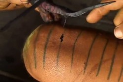 Begini Cara Membuat Tato Suku Mentawai