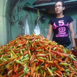 Harga Cabai Rawit di Jakarta Tembus Rp 72.000/Kg