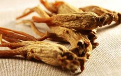 Ginseng dan Pala, Rempah yang Mampu Bikin Seks Lebih Dahsyat
