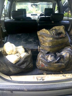 Sabu 70 Kg dari WN Iran Ditanam di Hutan Pelabuhan Ratu