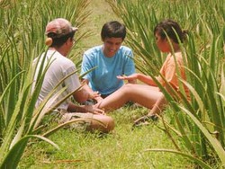 Ramaikan Bulan Film Nasional, Film-Musik-Makan Mulai Digelar Akhir Pekan Ini