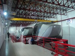 Di Australia, Maskapai Bisa Didenda Rp 500 Juta Gara-gara Semut