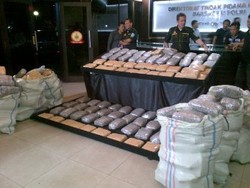 Setengah Ton Ganja yang Diungkap Mabes Polri Berasal dari Aceh
