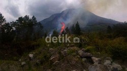 TNI AU Terjunkan 325 Personel Bantu Padamkan Kebakaran Hutan di Riau