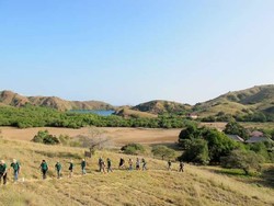 5 Tips Penting Mengunjungi Taman Nasional