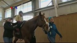 Hippoteraphy, Terapi Naik Kuda untuk Anak Berkebutuhan Khusus