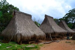 Ende, Desa Adat di Flores yang Luar Biasa