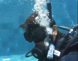 Tya Ariestya Trauma Dengan Diving