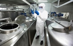 Ingin Produk Anda Mendapat Label Halal MUI? Inilah Tahapannya