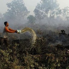 Korban Pengungsi Kabut Asap Kesulitan Air di Bengkalis Riau