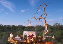 5 Hotel Rumah Pohon Paling Keren di Pedalaman Afrika