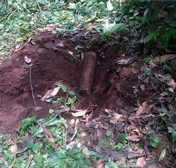 Asyik Mencangkul, Tukang Kebun Ini Kaget Temukan Mortir