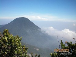 Weekend Ini, yuk Mendaki Gunung Gede!