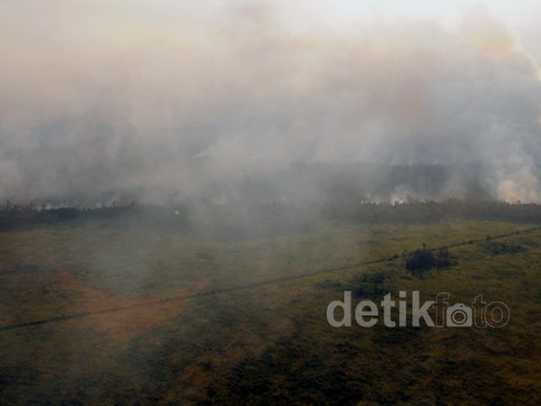 Cagar Biosfer di Riau Terbakar