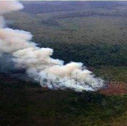 Bom Air Juga Digunakan untuk Padamkan Kebakaran Hutan di Riau