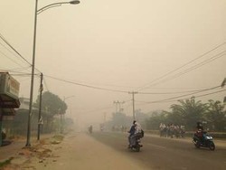 Dikepung Asap Pekat, Hari Ini Semua Sekolah di Dumai Diliburkan