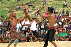 Unik! Adu Gladiator Ala Lombok