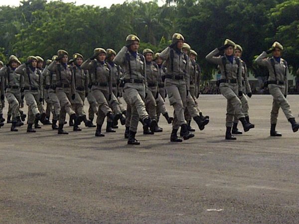 HUT Satpol PP dan Satlinmas