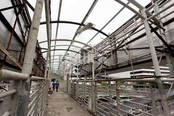 Ini Tips Aman Menyeberang di Jembatan Penyeberangan Orang