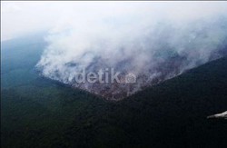 Waspada! Kabut Asap Meningkat di Sumatera 10 Hari ke Depan