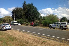 Diserang 4 Ekor Anjing di Selandia Baru, Bocah 7 Tahun Kritis