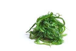 Pelangsing dari Lautan, Rumput Laut Disebut Bisa Cegah Tubuh Serap Lemak