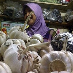 Mentan Suswono Bingung Indonesia Bisa Impor Bawang Putih dari Singapura