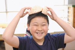 5 Hal Ini Bisa Melemahkan Otak Anda Lho