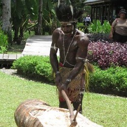 BUMN ini Bakal Produksi 30 Ribu Ton Sagu di Papua