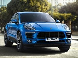 Ini Macan yang Bisa Minum Solar