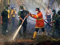 TNI Padamkan Kebakaran Hutan di Riau