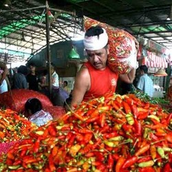 Harga Cabai Rawit Naik 2 Kali Lipat, Pemerintah Siap Impor 330 Ton
