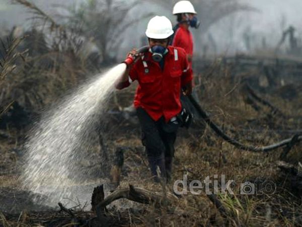 Kebakaran Hutan di Riau Merembet