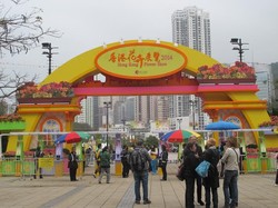 Cantik! Warna-warni Hong Kong Flower Show 2014